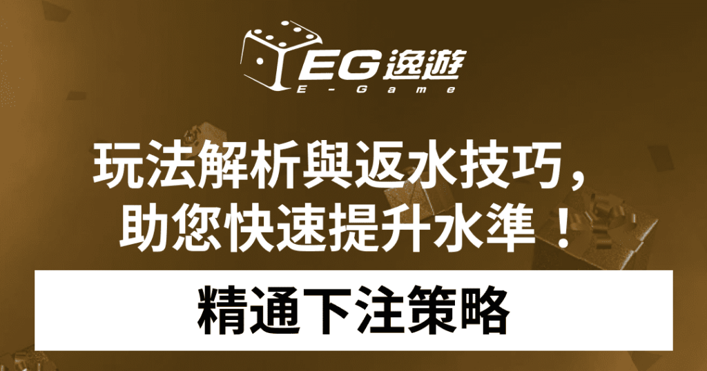 精通下注策略：玩法解析與返水技巧，助您快速提升水準！1